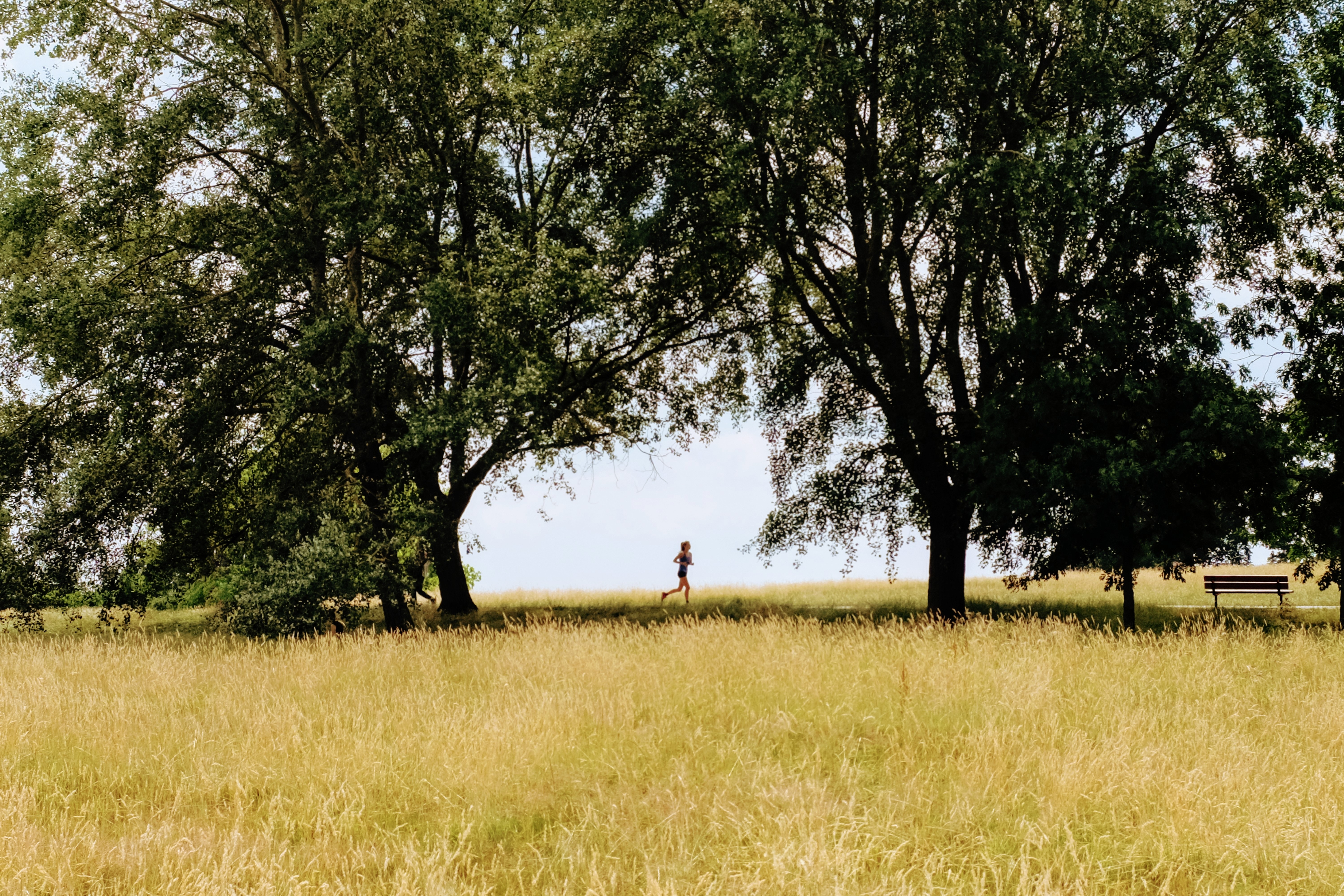 runner